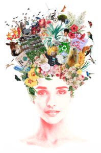 Illustration-web